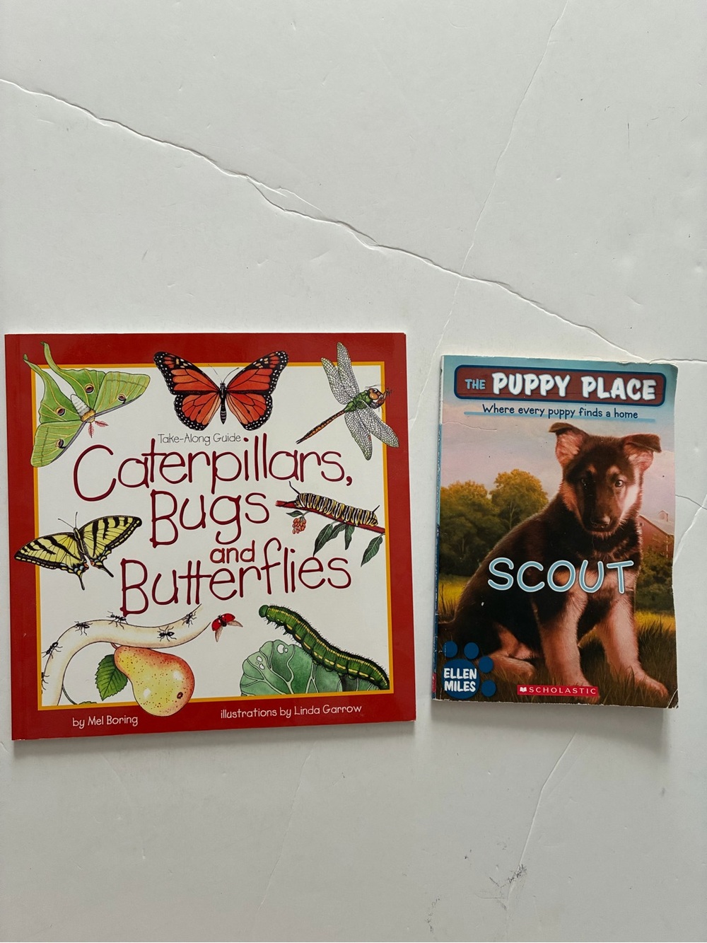 2 Kids Learning Books, Caterpillars, Bugs and Butterflies- Scholastic’s Scout